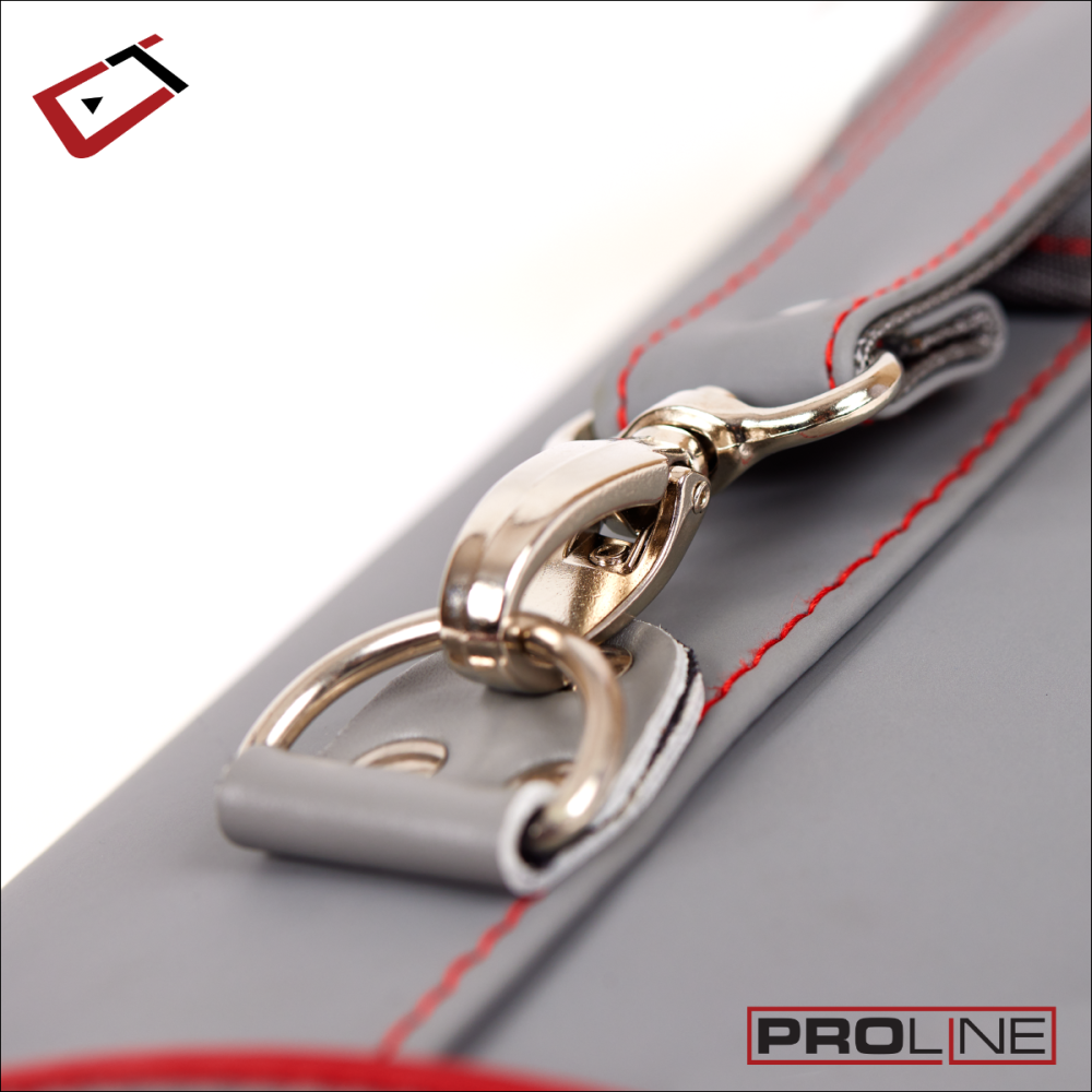 Pro Line 2X4 Hard Case; Gray